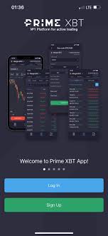 Information PrimeXBT A Comprehensive Guide to Trading with the Best