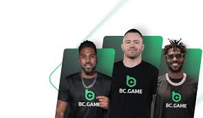 The Ultimate Guide to bcgame Earnings, Strategies and More