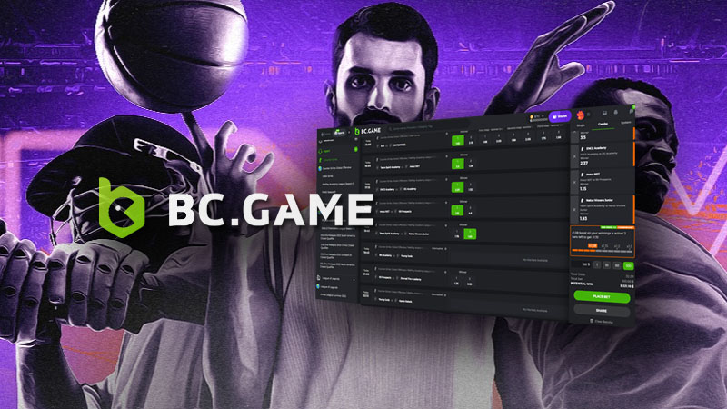 The Ultimate Guide to bcgame Earnings, Strategies and More